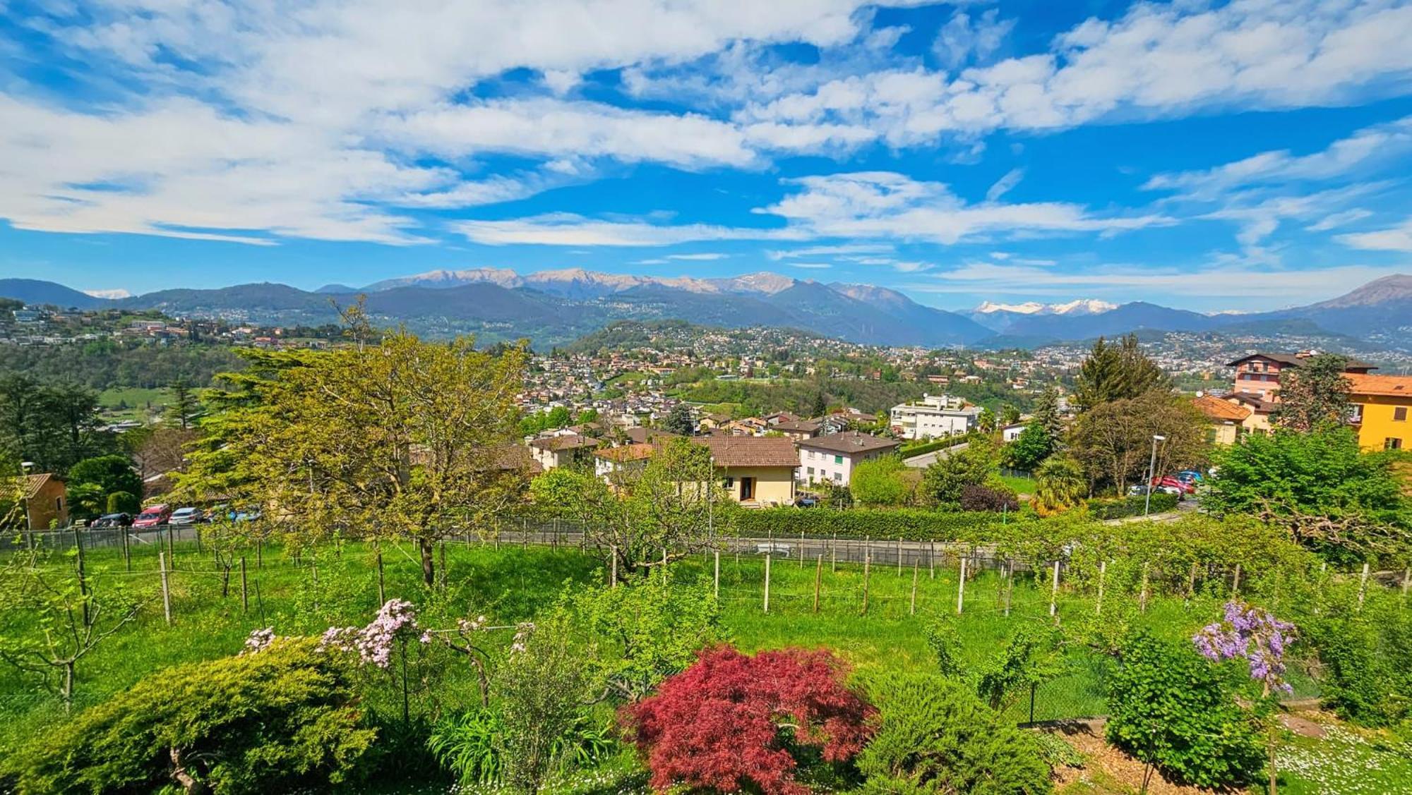Appartement Bellavista With Free Parking